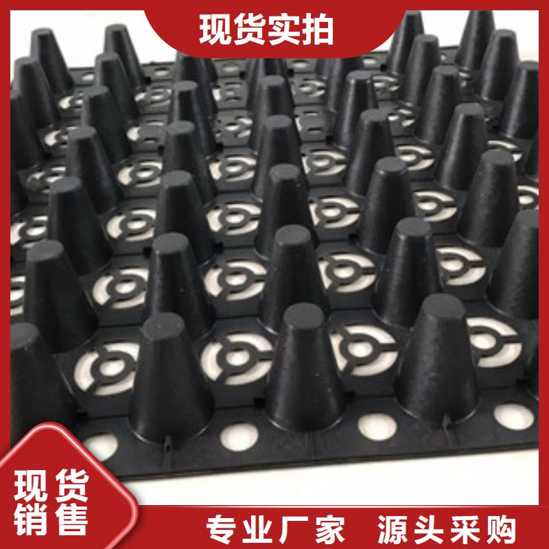 蓄排水板植草格厂家采购