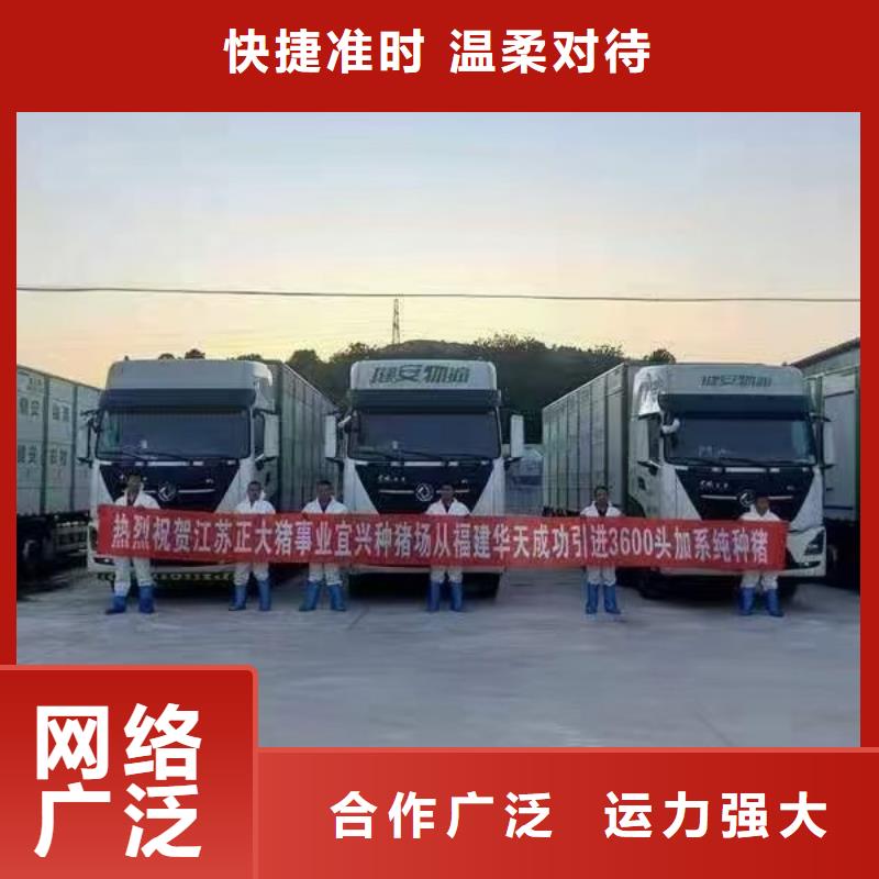 宿迁市到种猪空调车运输资金充裕