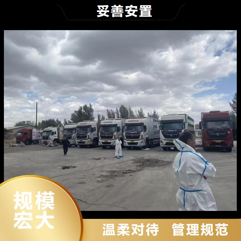 宿迁市泗洪到空调车运输保障完备