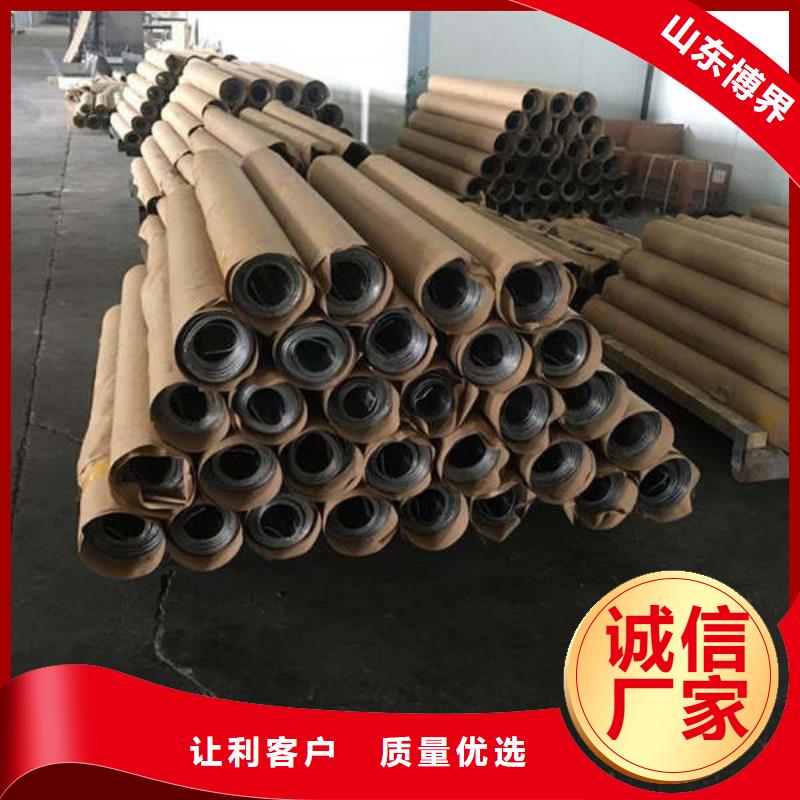 泰州铅砖、铅皮多年可靠