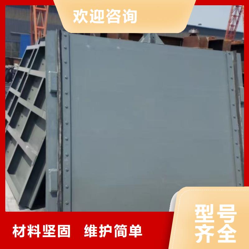 云南省大理市一体式钢闸门用心制作