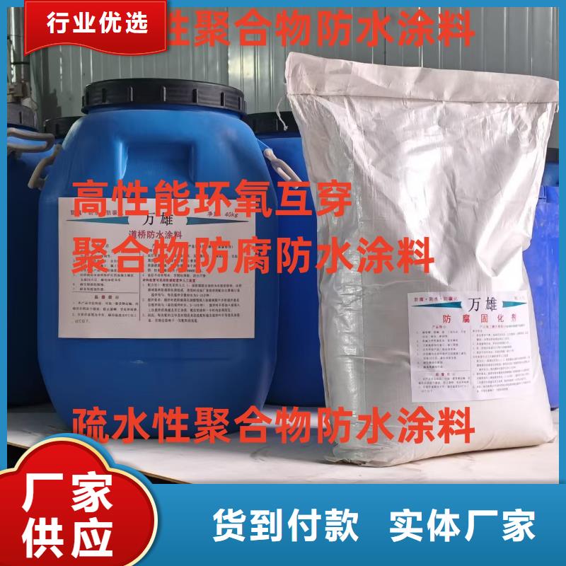 环氧改性防腐涂料优势货到付款弹性重防腐特种涂料