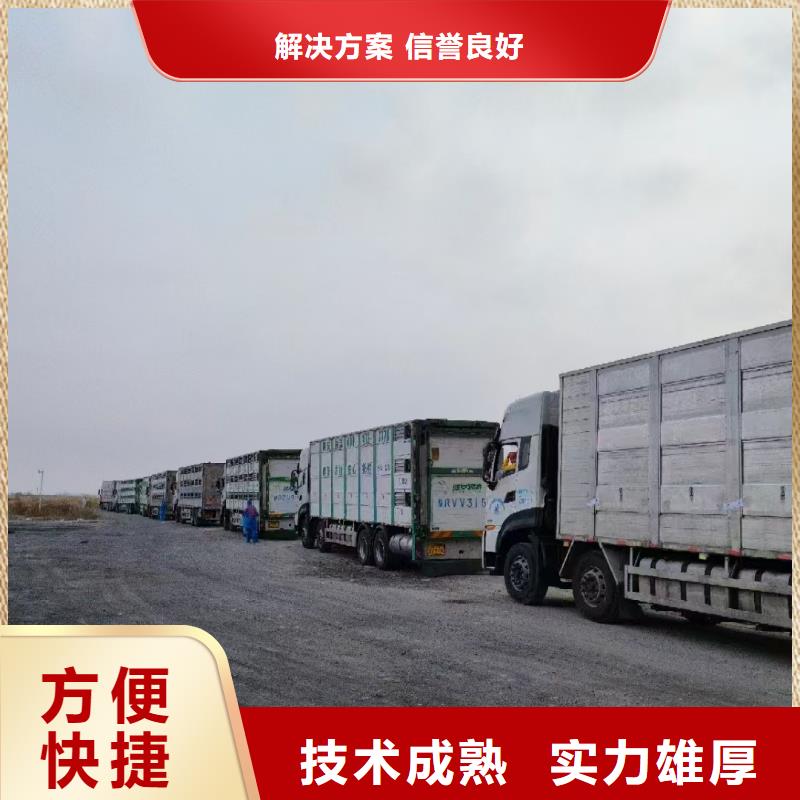宿迁到猪只运输专用车-专用车护航