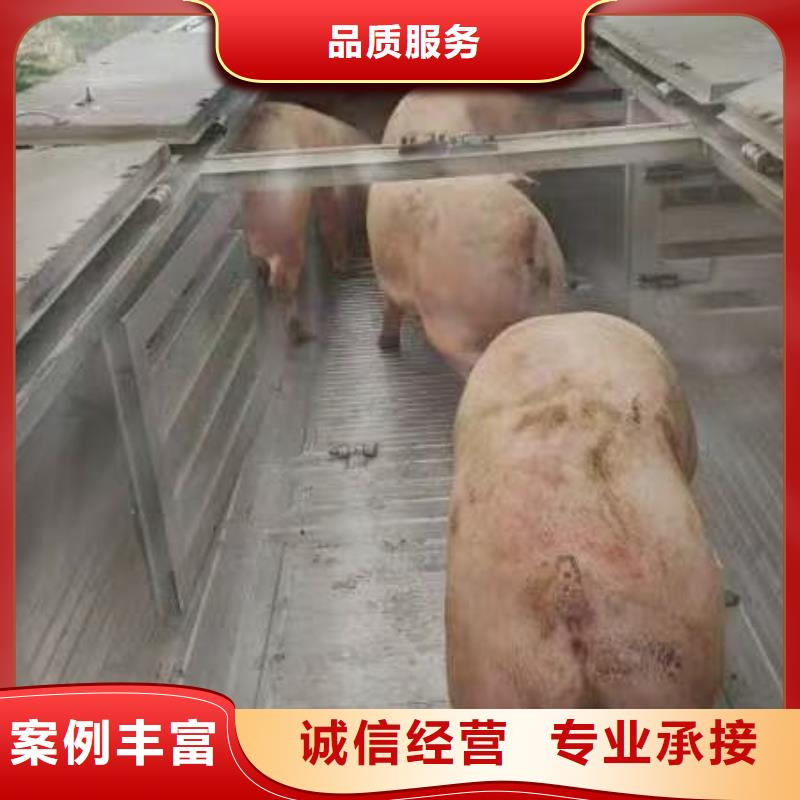 宿迁到猪只运输专用车-专用车护航
