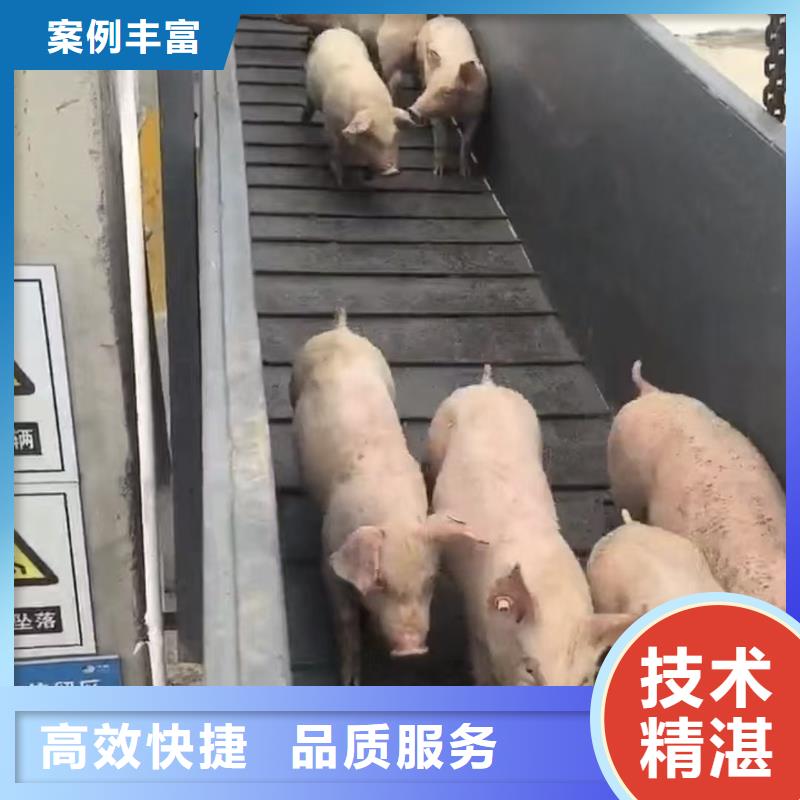 嘉兴到仔猪空调车运输整车