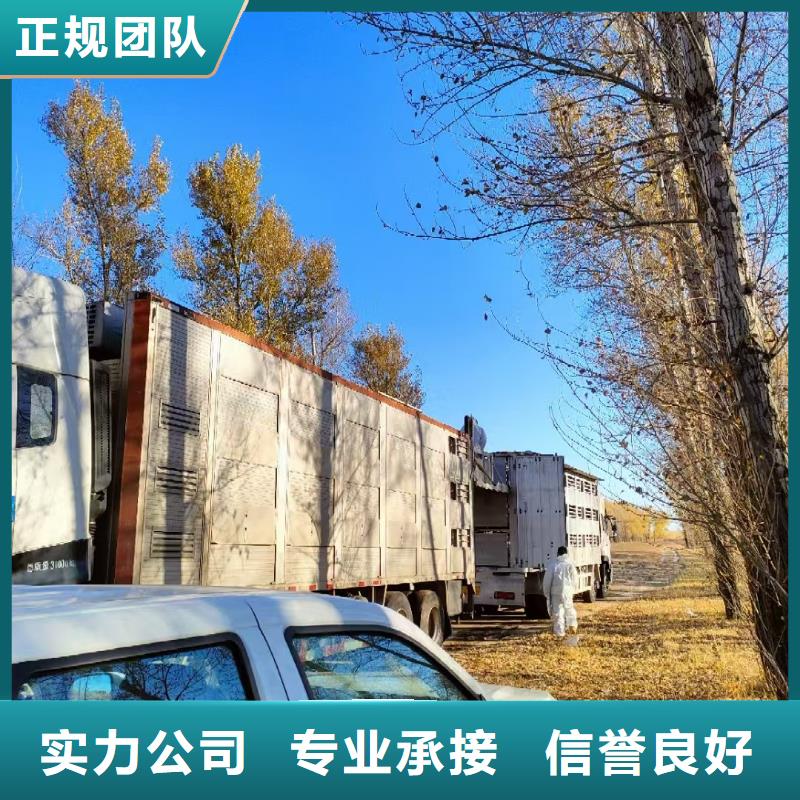 宿迁到猪只运输专用车-专用车护航