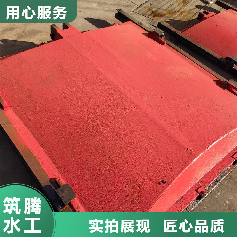 平板铸铁闸门用心做品质
