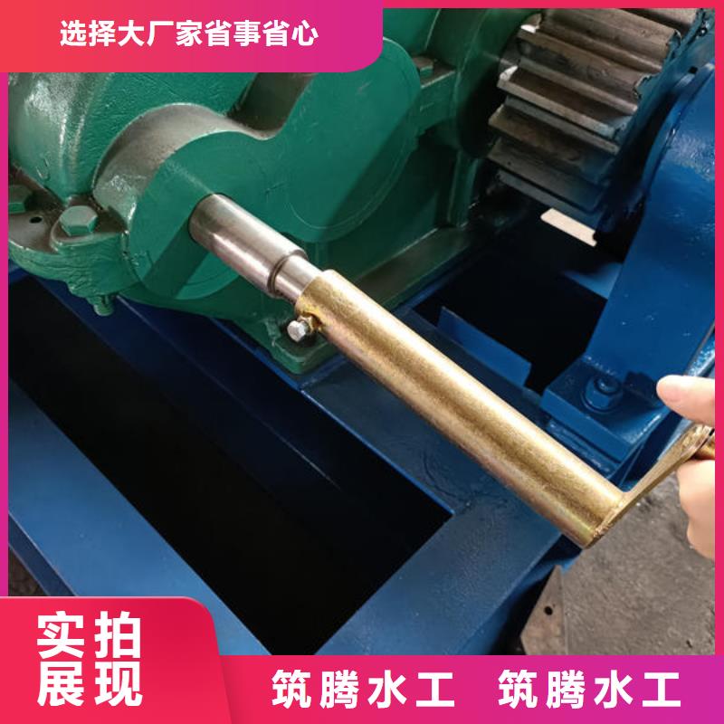 卷扬式启闭机,台车式卷扬式启闭机货源足质量好